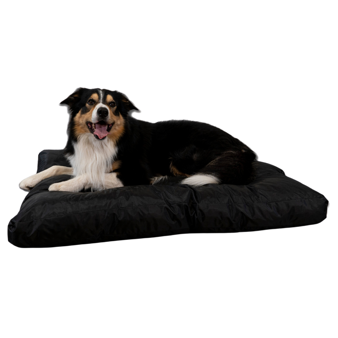 Cuccia per cani - 110x85x10 cm