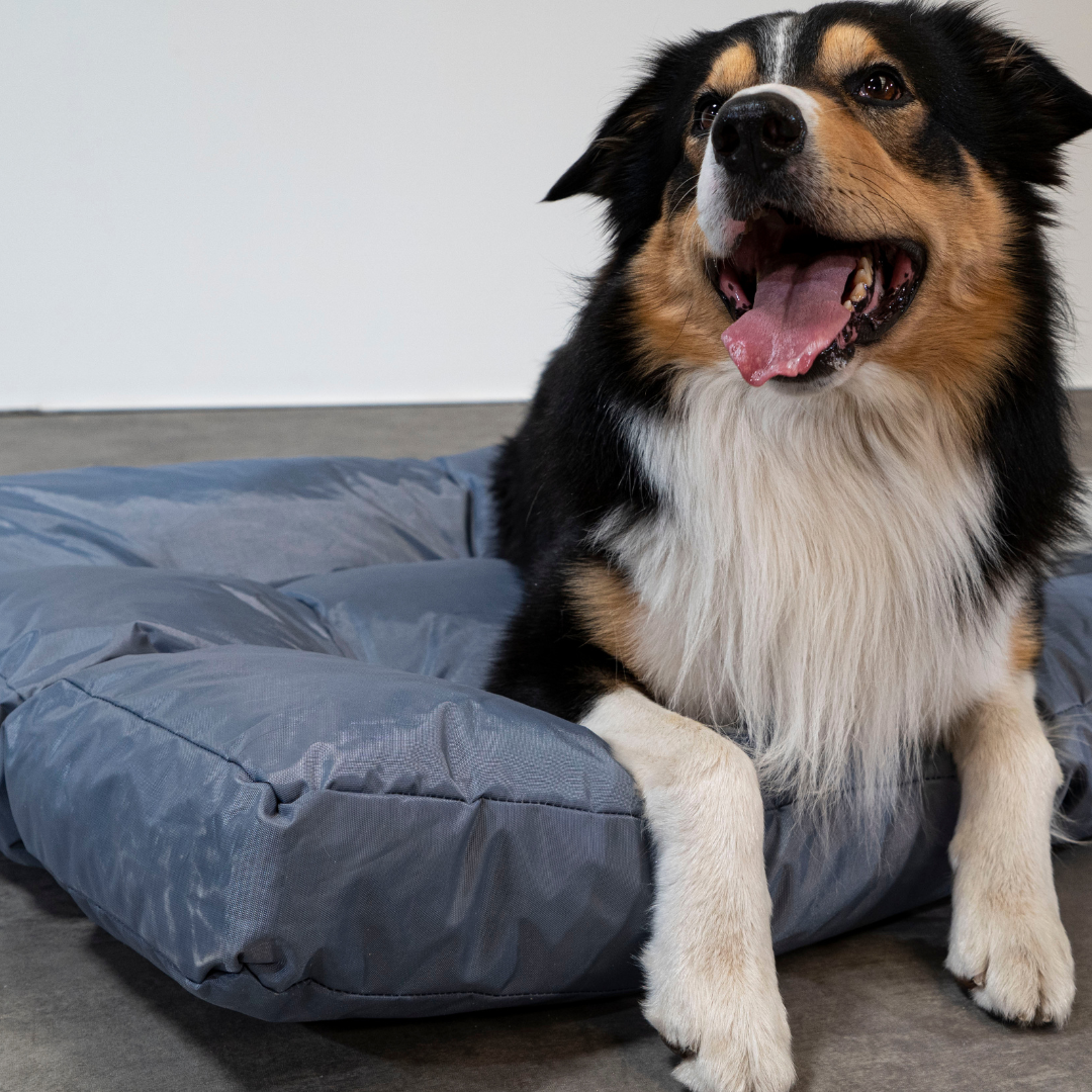 Cuccia per cani - 110x85x10 cm