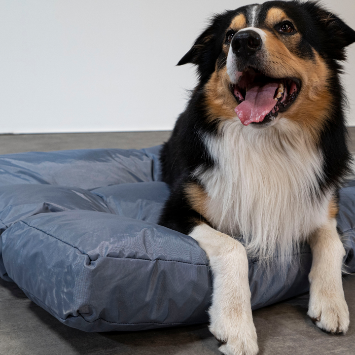Cuccia per cani - 110x85x10 cm