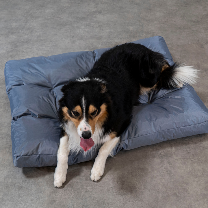 Cuccia per cani - 110x85x10 cm