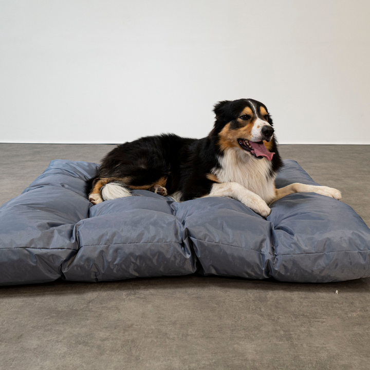 Cuccia per cani - 125x110x15 Cm