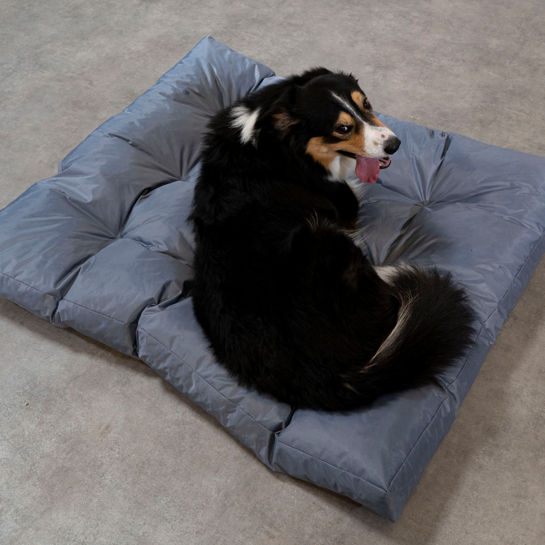 Cuccia per cani - 125x110x15 Cm