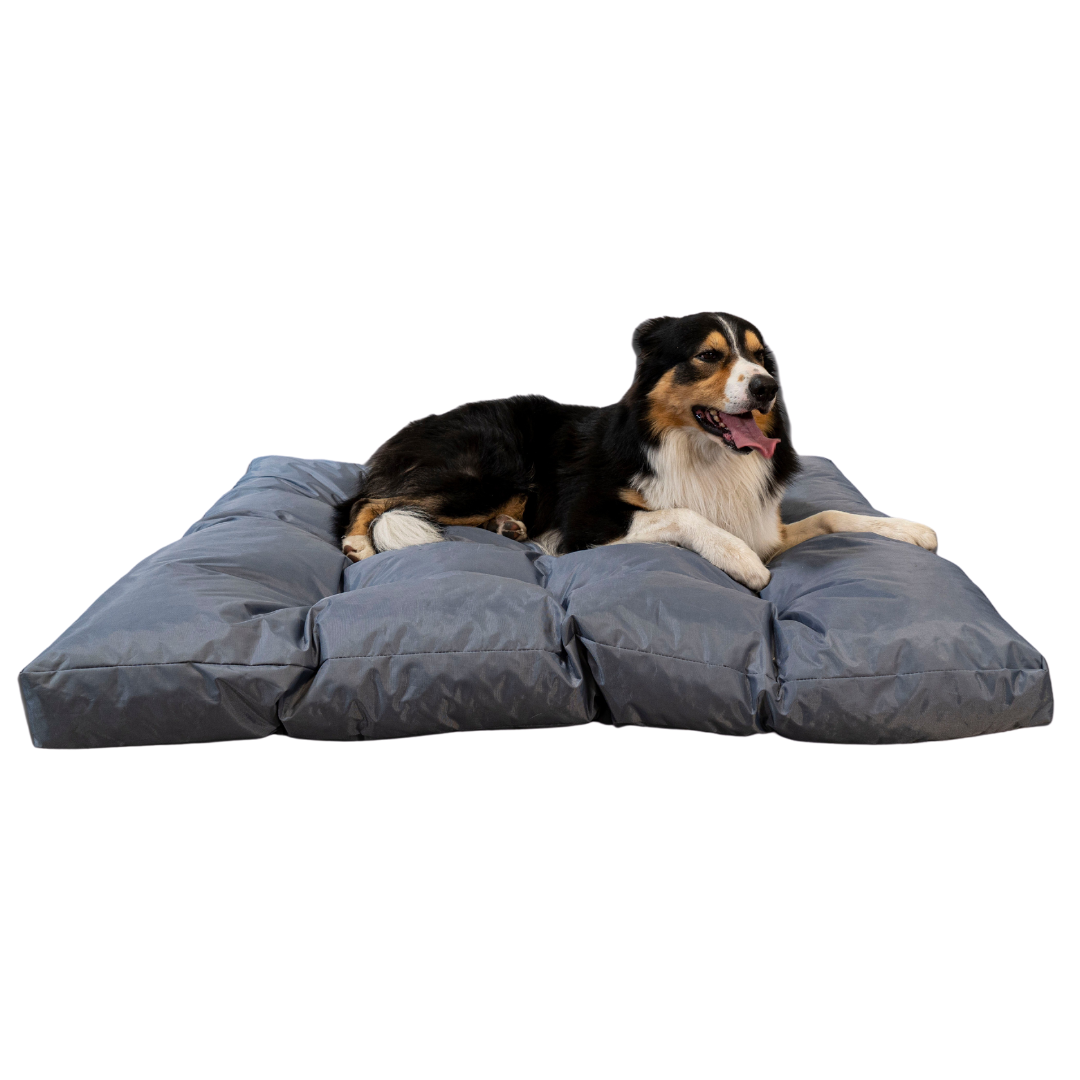Cuccia per cani - 125x110x15 Cm