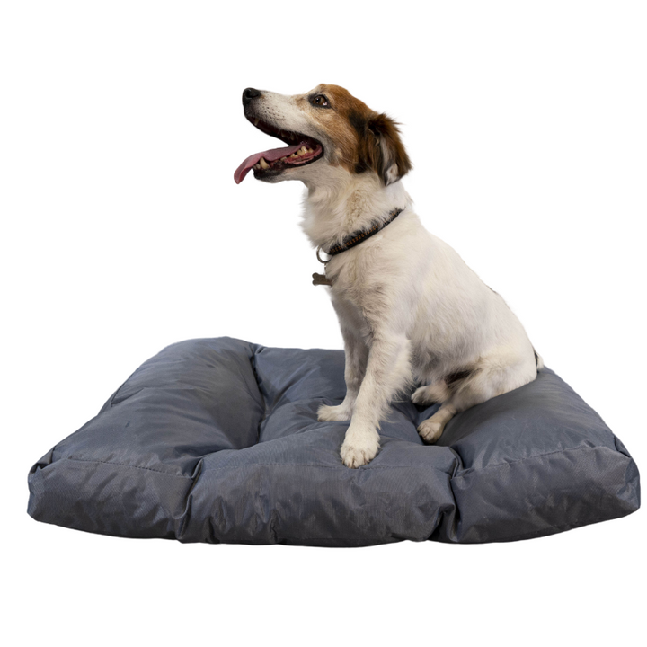 Cuccia per cani - 75x50x10 cm