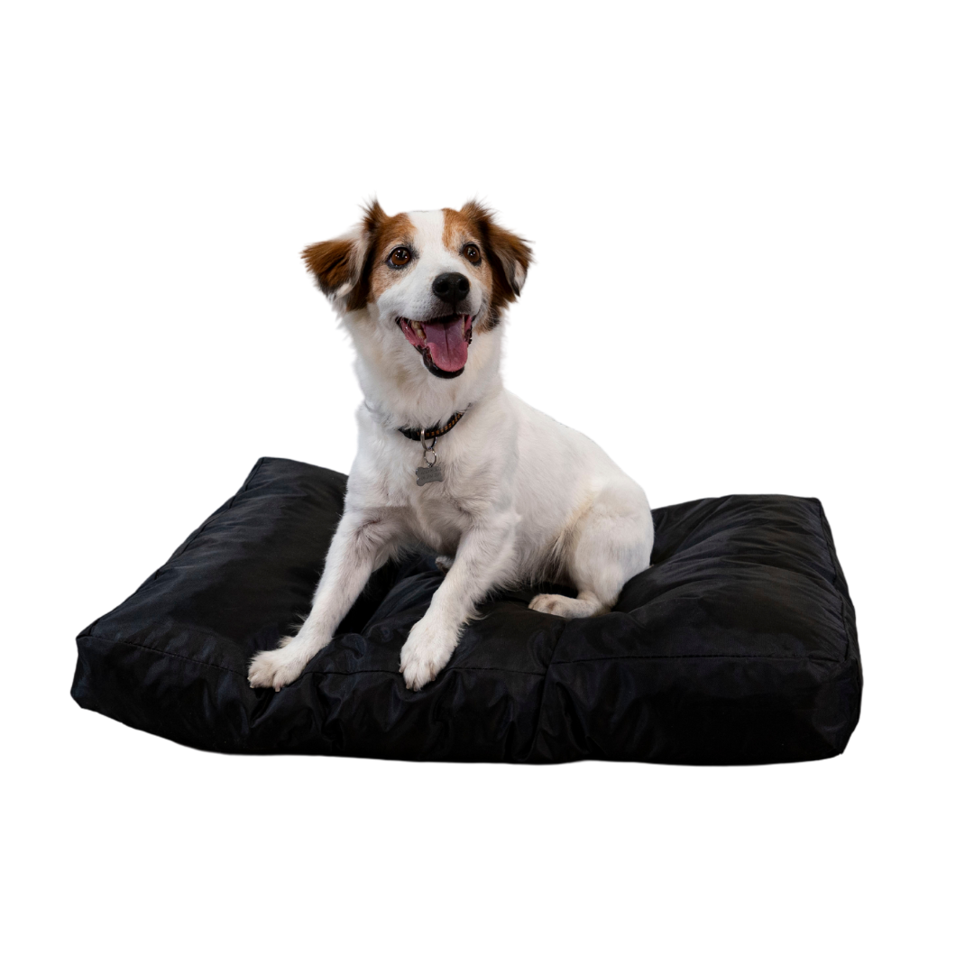 Cuccia per cani - 75x50x10 cm