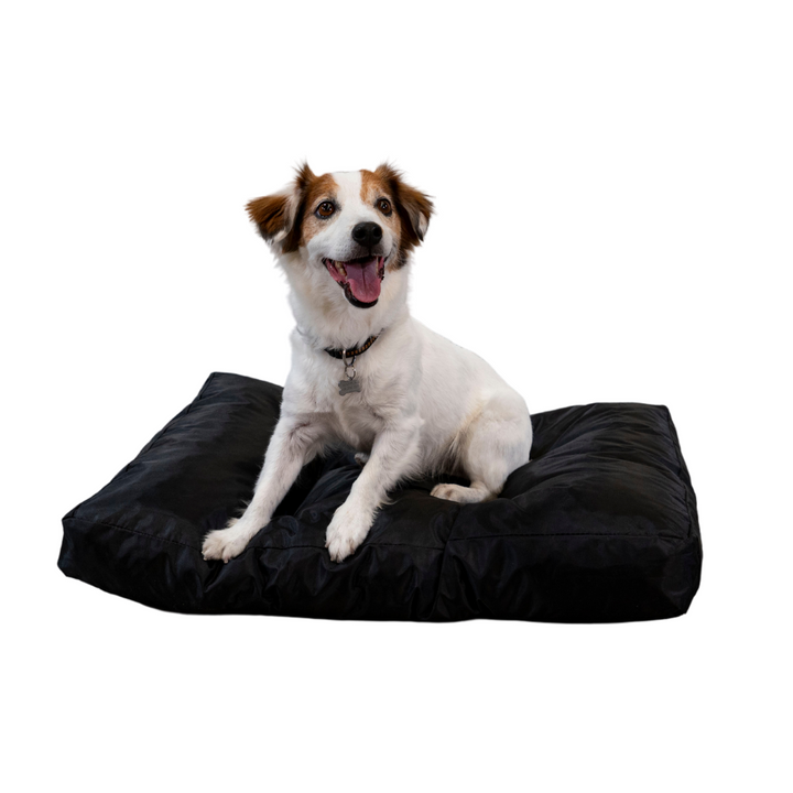 Cuccia per cani - 75x50x10 cm