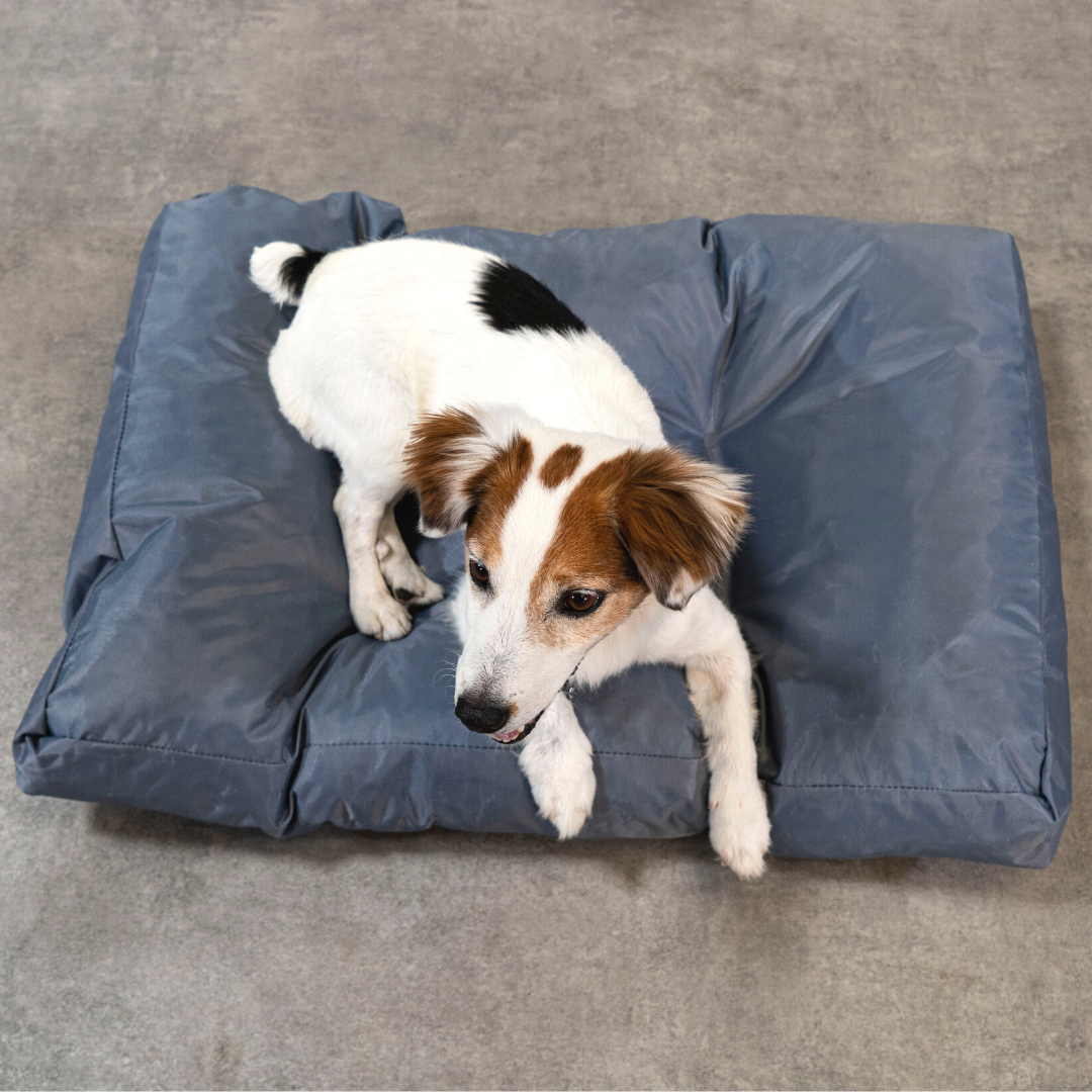 Cuccia per cani - 75x50x10 cm