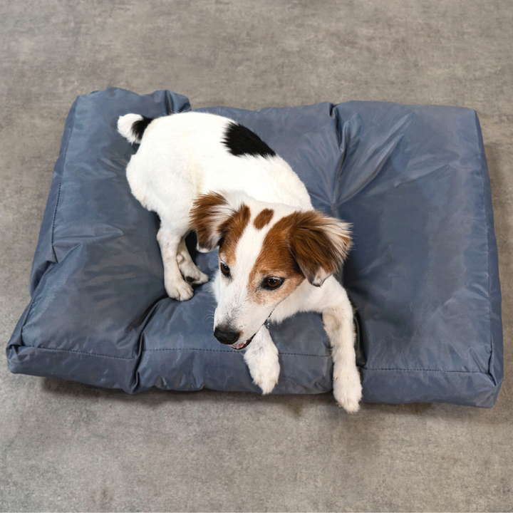 Cuccia per cani - 75x50x10 cm
