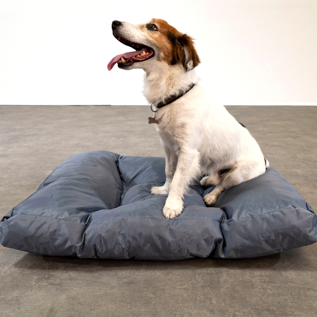 Cuccia per cani - 75x50x10 cm