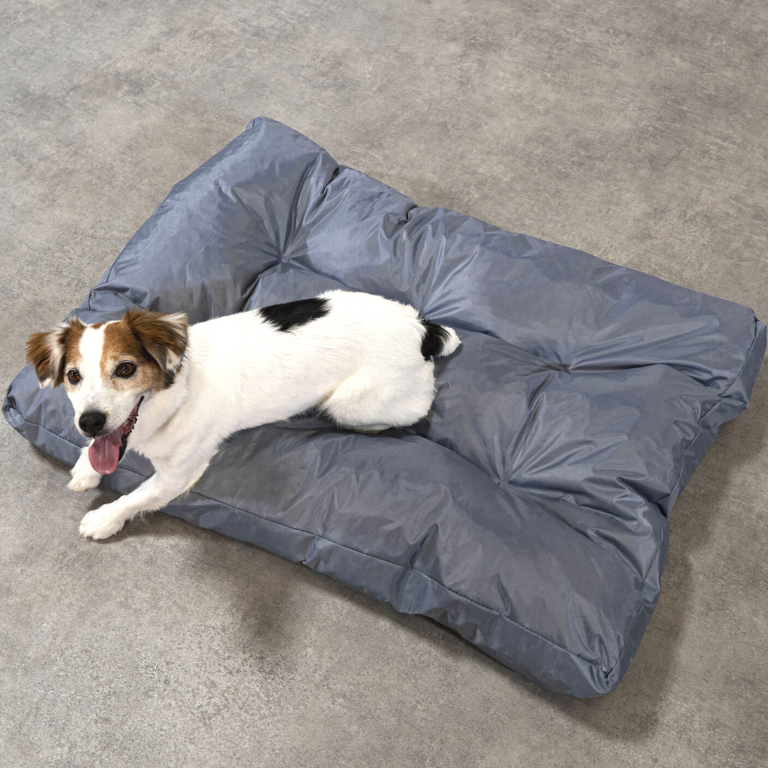 Cuccia per cani - 90x65x10 cm